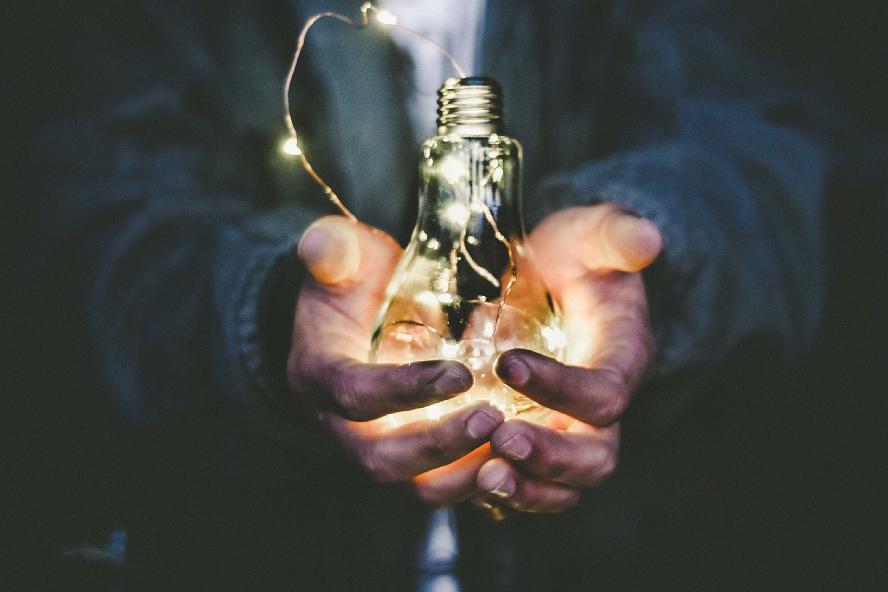 How Intrapreneurship Accelerates Organizations: 4 Case Studies